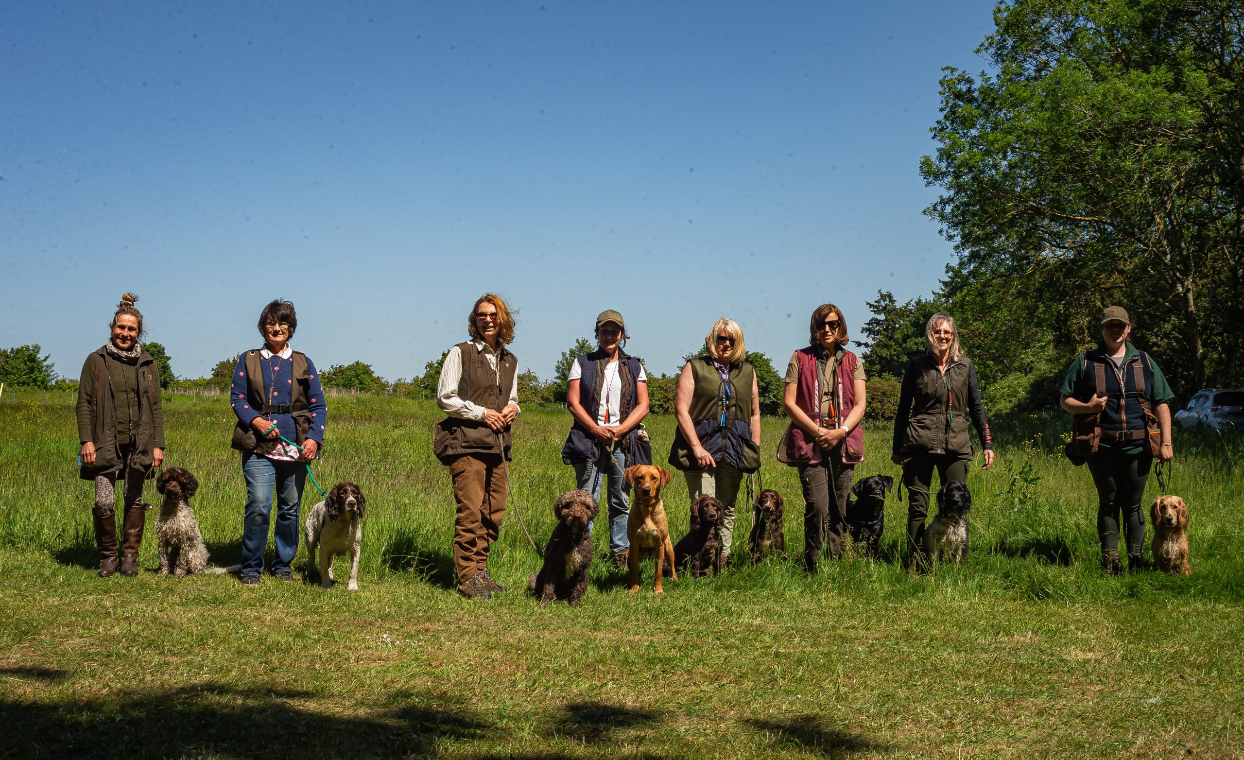 Gundog Training 3 day Camp 20th22nd August 2024 Seadogs Training