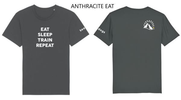 Tee Shirt - Image 2