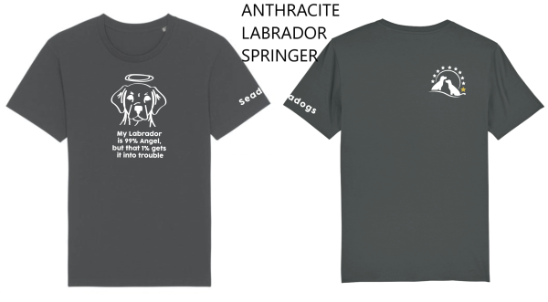 Tee Shirt - Image 4