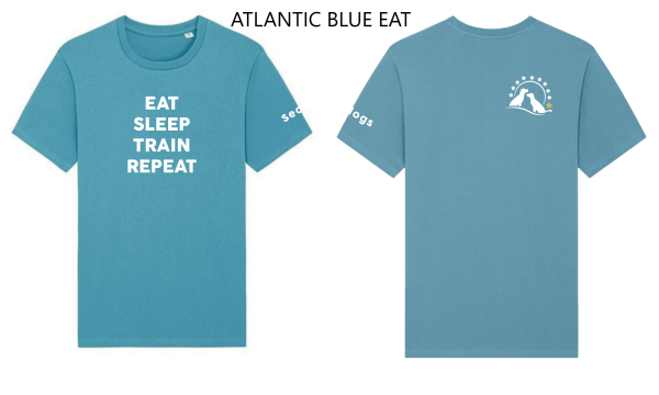 Tee Shirt - Image 5