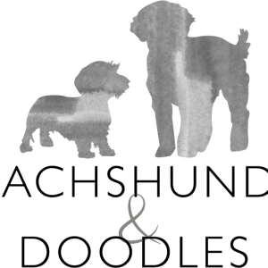 Dachshunds & Doodles by Seadogs Training Puppy Course - Full Package